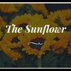 thesunflowr